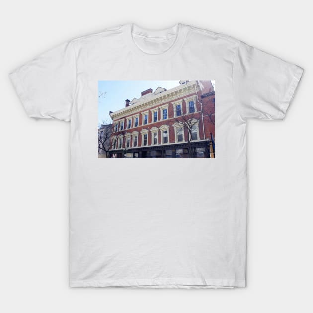 Treble Hall Hamilton T-Shirt by srosu